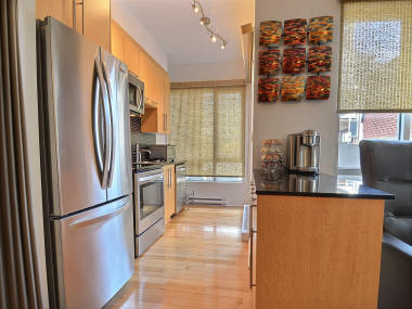 Downtown Montreal Condo for sale near McGill University